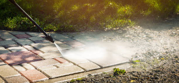 Best Driveway Pressure Washing  in Williams, OR